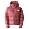 The North Face W Hyalite Down Hoodie
